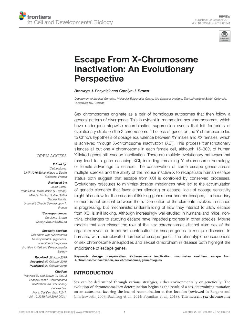 Escape from X-Chromosome Inactivation: an Evolutionary Perspective