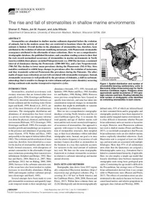 The Rise and Fall of Stromatolites in Shallow Marine Environments