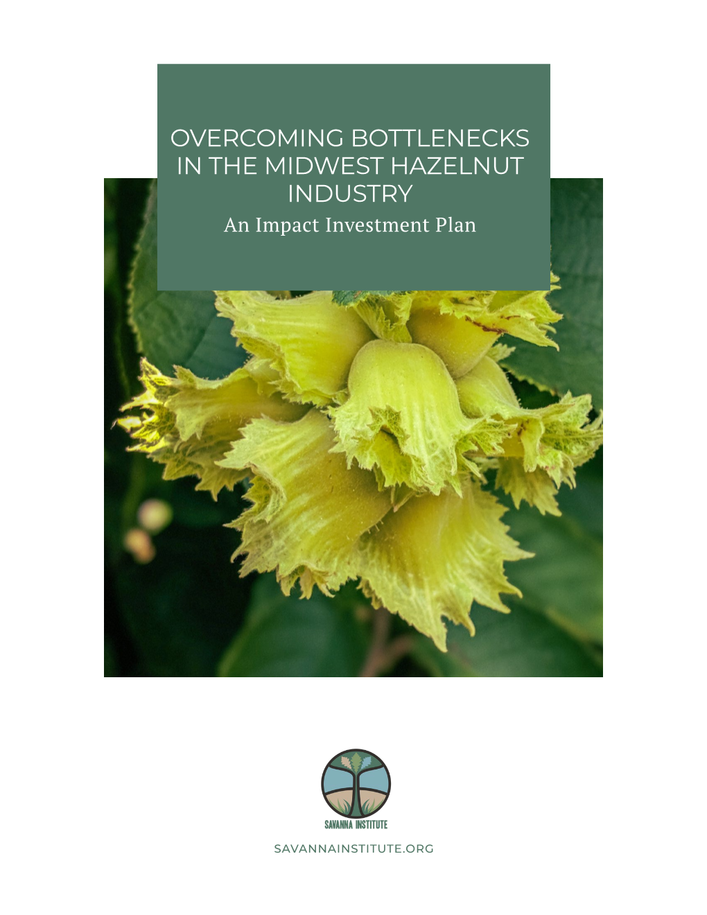 OVERCOMING BOTTLENECKS in the MIDWEST HAZELNUT INDUSTRY an Impact Investment Plan