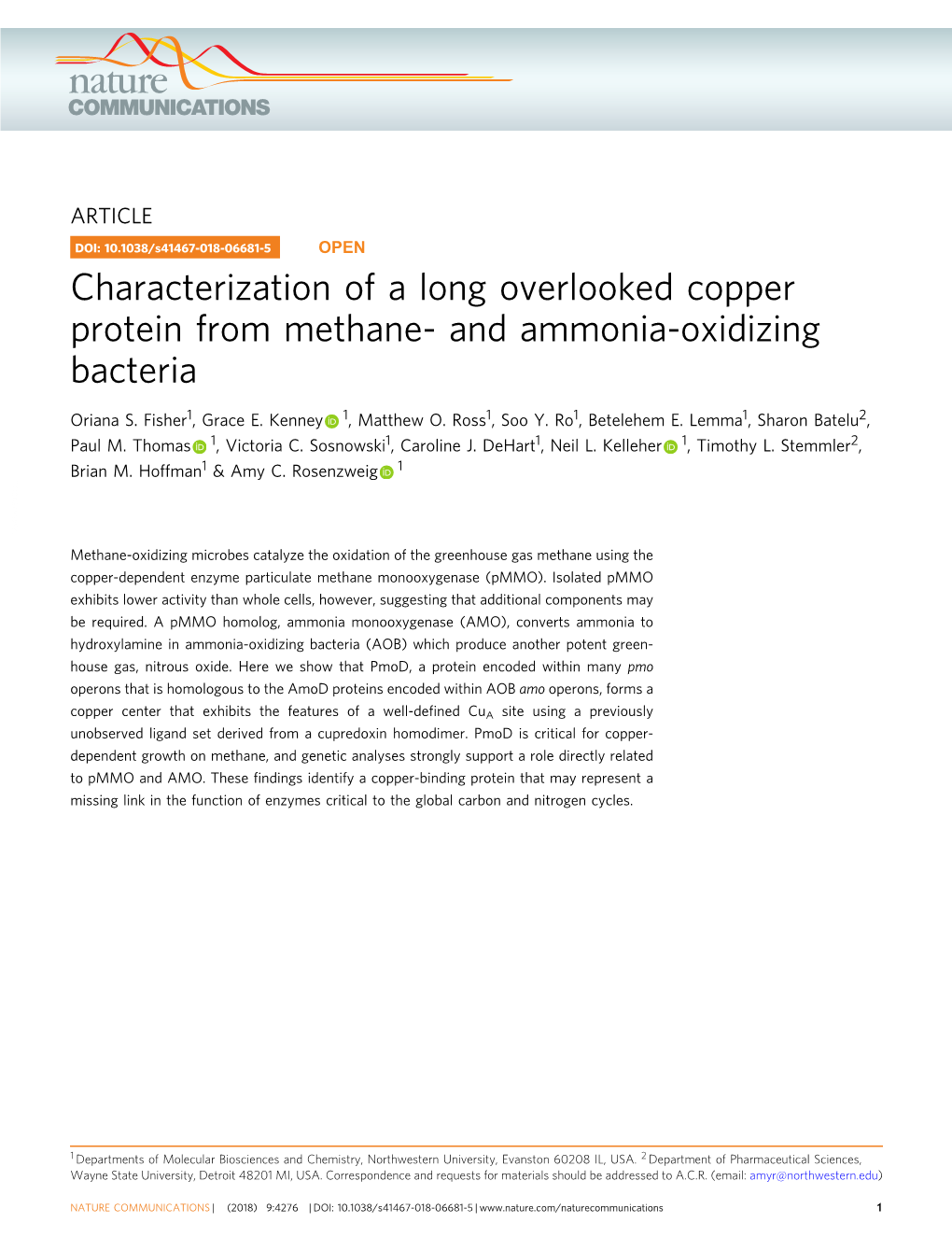 Characterization of a Long Overlooked Copper Protein from Methane- and Ammonia-Oxidizing Bacteria