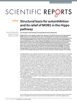Structural Basis for Autoinhibition and Its Relief of MOB1 in the Hippo