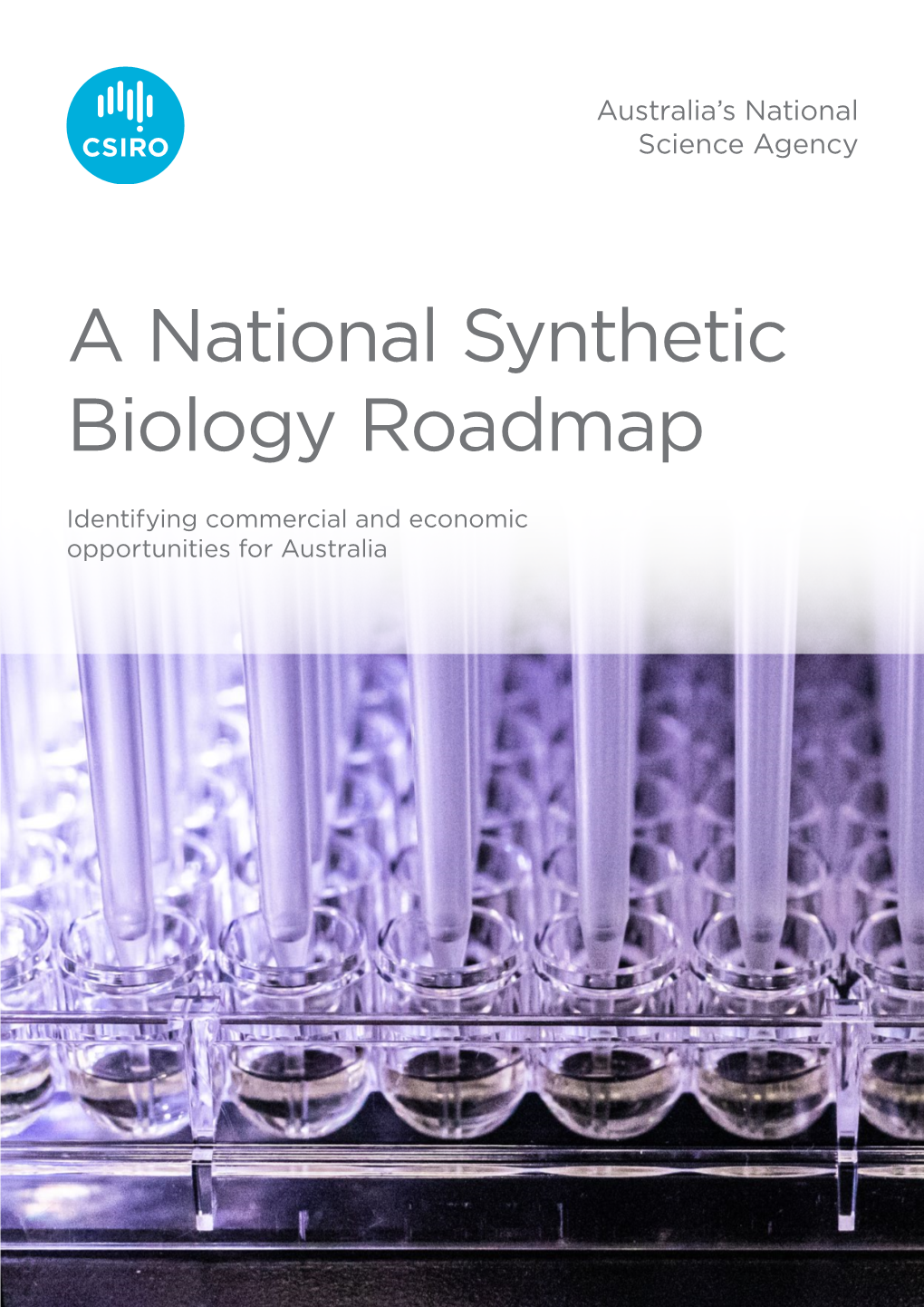 A National Synthetic Biology Roadmap