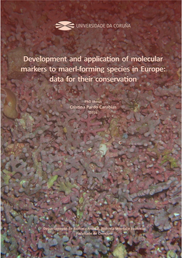 Development and Application of Molecular Markers to Maerl‐Forming Species in Europe: Data for Their Conservation