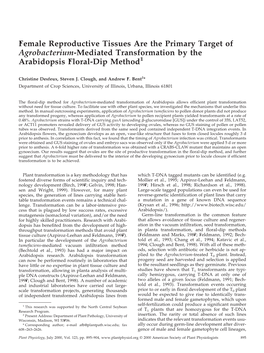 Female Reproductive Tissues Are the Primary Target of Agrobacterium-Mediated Transformation by the Arabidopsis Floral-Dip Method1