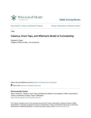 Calamus, Drum-Taps, and Whitman's Model of Comradeship