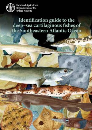 Identification Guide to the Deep-Sea Cartilaginous Fishes Of
