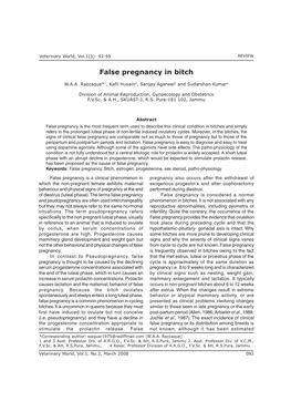 False Pregnancy in Bitch