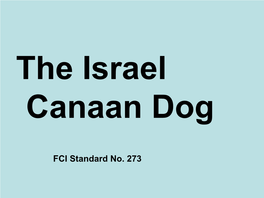 FCI Standard No. 273