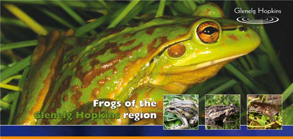 Frogs of the Glenelg Hopkins Region Australia Has Some Two Hundred Species of Frogs Belonging to Five Families