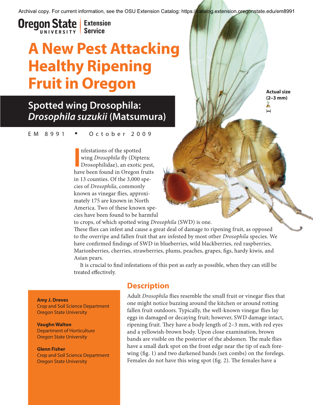 New Pest Attacking Healthy Ripening Fruit in Oregon