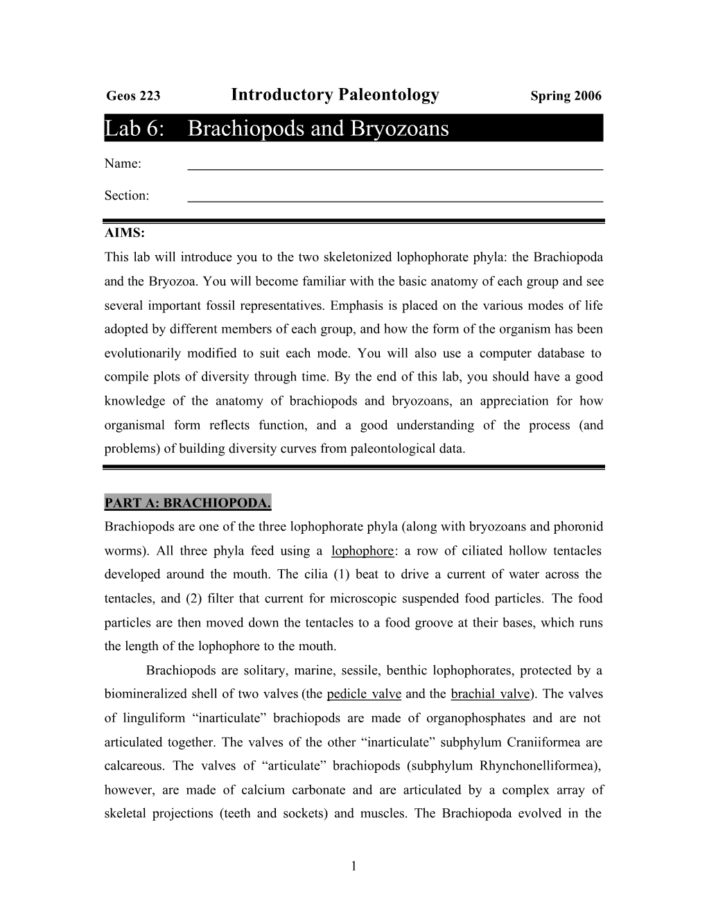 Lab 6: Brachiopods and Bryozoans