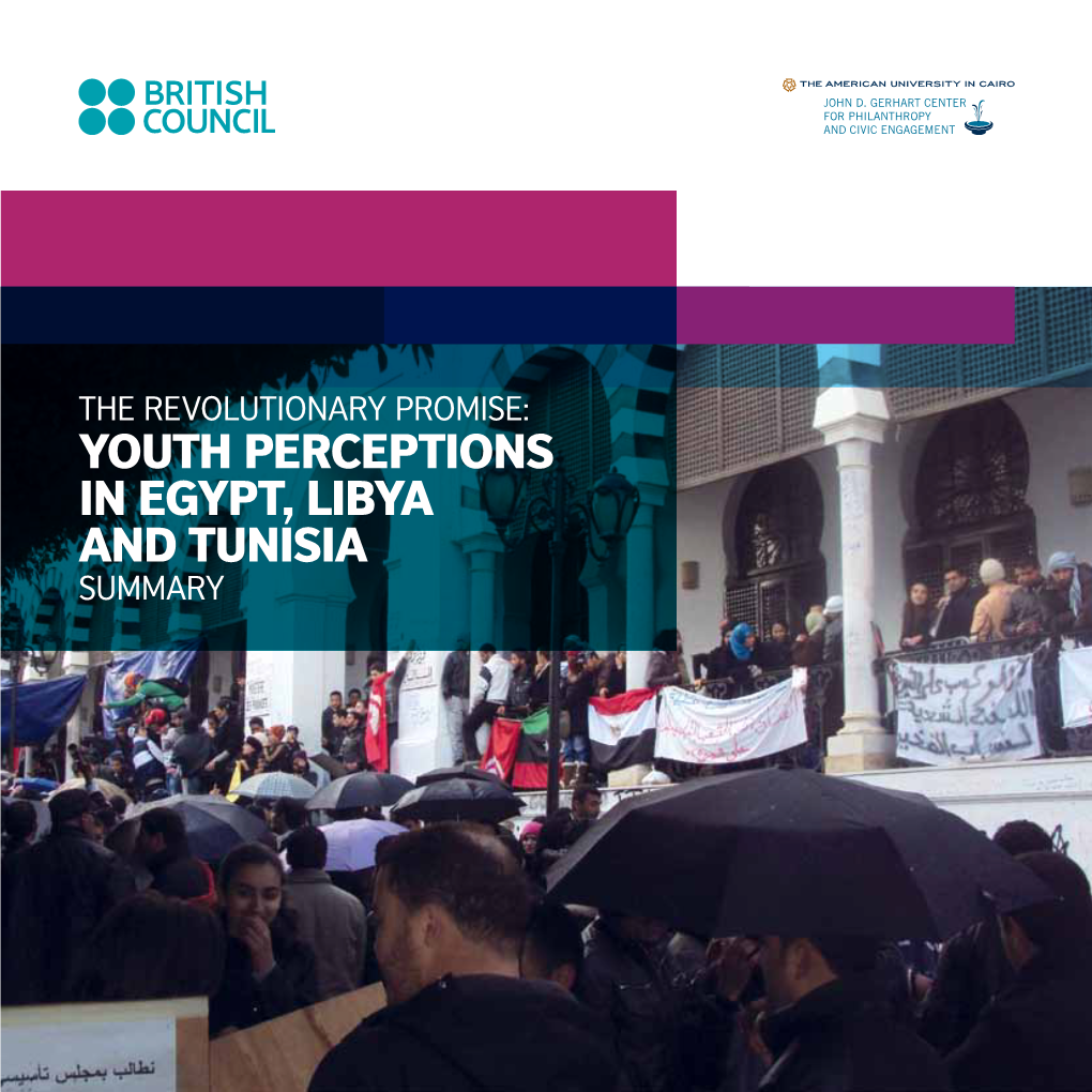 YOUTH PERCEPTIONS in EGYPT, LIBYA and TUNISIA SUMMARY About the Partners