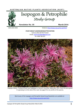 Isopogon & Petrophile