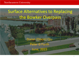 Surface Alternatives to Replacing the Bowker Overpass