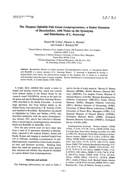 The Deepsea Ophidiid Fish Genus Lamprogrammus, a Senior Synonym of Bassobythites, with Notes on the Synonymy and Distribution of L