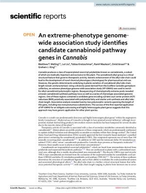 An Extreme-Phenotype Genome‐Wide Association Study Identifies