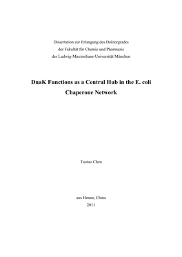 Dnak Functions As a Central Hub in the E. Coli Chaperone Network