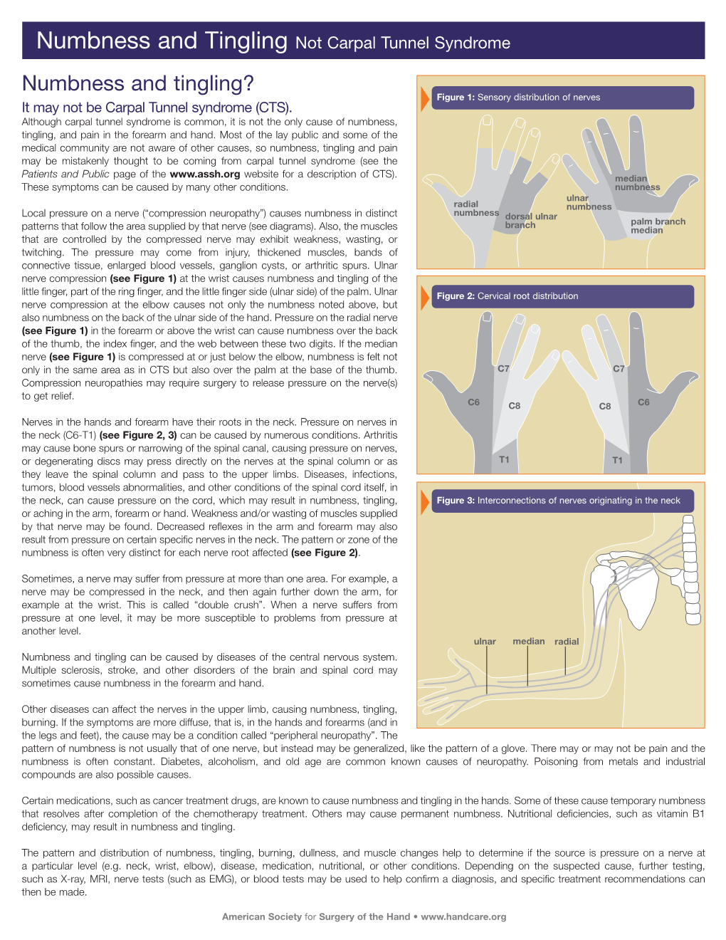 Numbness and Tingling? Figure 1: Sensory Distribution of Nerves It May Not Be Carpal Tunnel Syndrome (CTS)