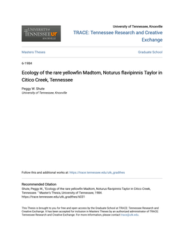 Ecology of the Rare Yellowfin Madtom, Noturus Flavipinnis Taylor in Citico Creek, Tennessee