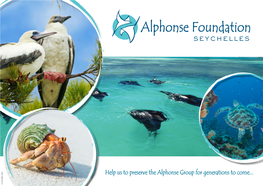 Alphone Foundation Brochure