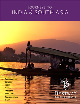 India & South Asia