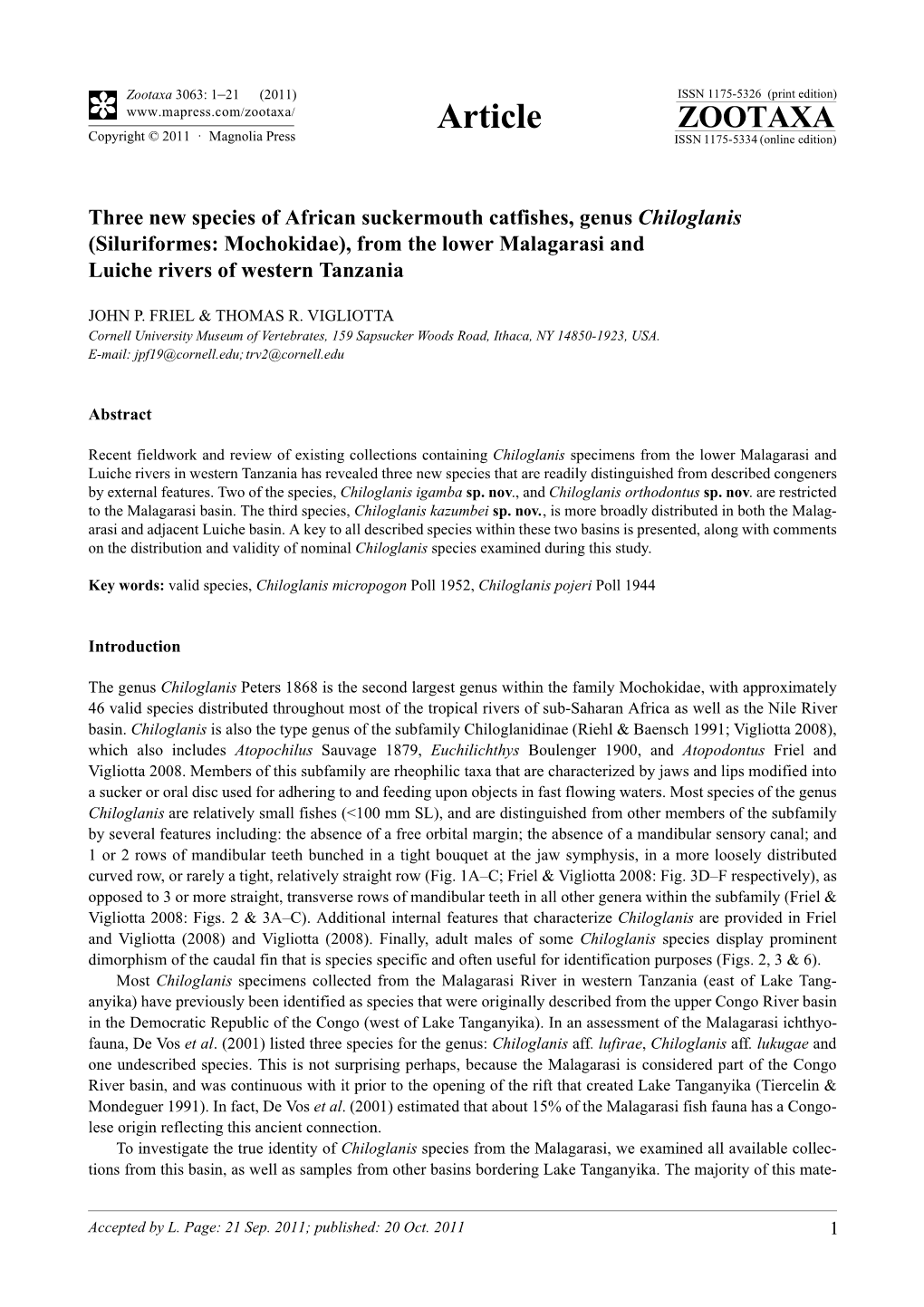 Three New Species of African Suckermouth Catfishes, Genus Chiloglanis (Siluriformes: Mochokidae), from the Lower Malagarasi and Luiche Rivers of Western Tanzania