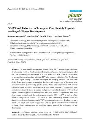 LEAFY and Polar Auxin Transport Coordinately Regulate Arabidopsis Flower Development