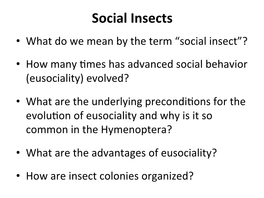 Social Insects