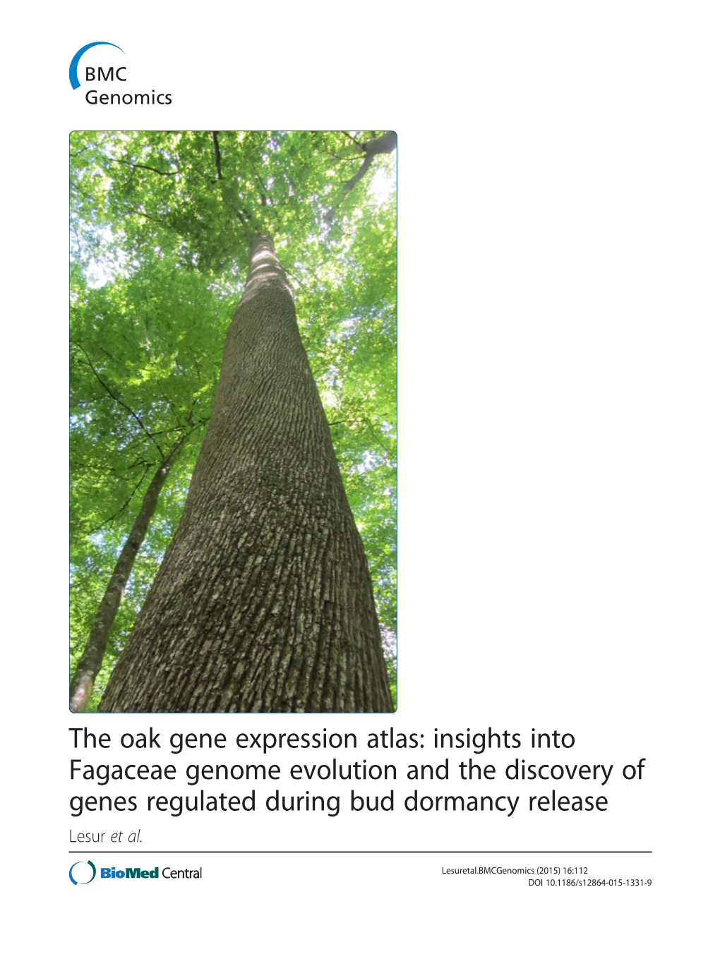 The Oak Gene Expression Atlas: Insights Into Fagaceae Genome Evolution and the Discovery of Genes Regulated During Bud Dormancy Release Lesur Et Al