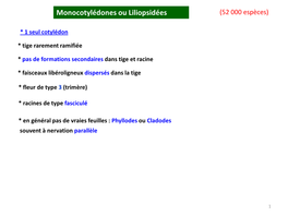 1-Les Monocotylédone Liliopsidées