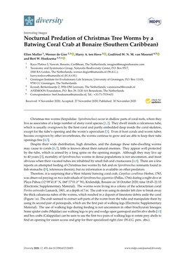 Nocturnal Predation of Christmas Tree Worms by a Batwing Coral Crab at Bonaire (Southern Caribbean)