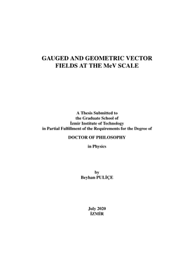 GAUGED and GEOMETRIC VECTOR FIELDS at the Mev SCALE