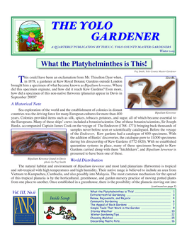 The Yolo Gardener a Quarterly Publication by the U.C