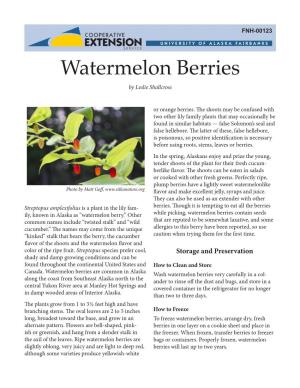 Watermelon Berries by Leslie Shallcross