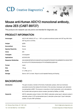 Mouse Anti-Human ADCY2 Monoclonal Antibody, Clone 2E5 (CABT-B9727) This Product Is for Research Use Only and Is Not Intended for Diagnostic Use