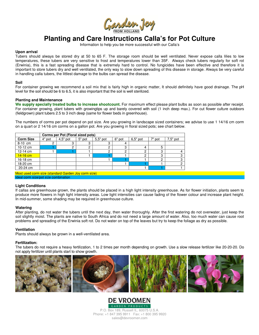 Planting and Care Instructions Calla's for Pot Culture