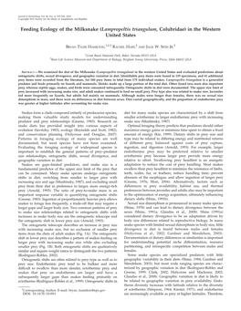 Feeding Ecology of the Milksnake (Lampropeltis Triangulum, Colubridae) in the Western United States