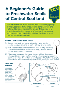 Freshwater Snail Guide