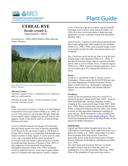 Plant Guide for Cereal Rye (Secale Cereale)