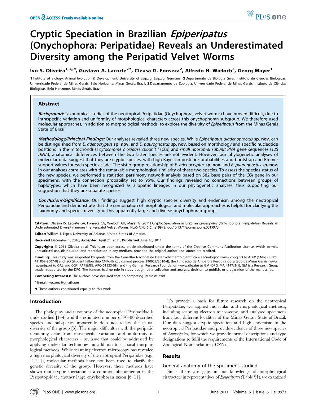 Cryptic Speciation in Brazilian Epiperipatus (Onychophora: Peripatidae) Reveals an Underestimated Diversity Among the Peripatid Velvet Worms