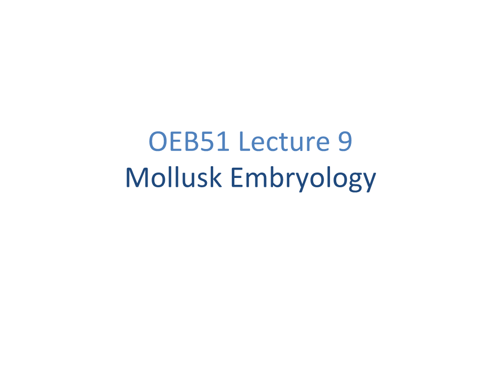 OEB51 Lecture 9 Mollusk Embryology