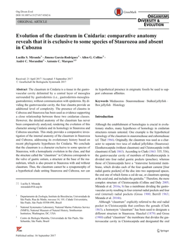 Evolution of the Claustrum in Cnidaria: Comparative Anatomy Reveals That It Is Exclusive to Some Species of Staurozoa and Absent in Cubozoa