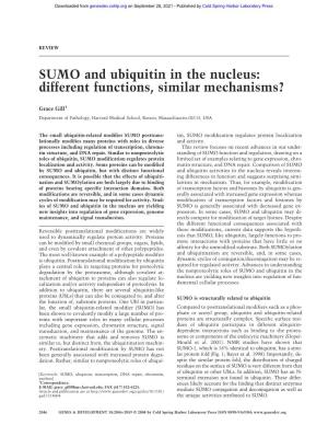 SUMO and Ubiquitin in the Nucleus: Different Functions, Similar Mechanisms?