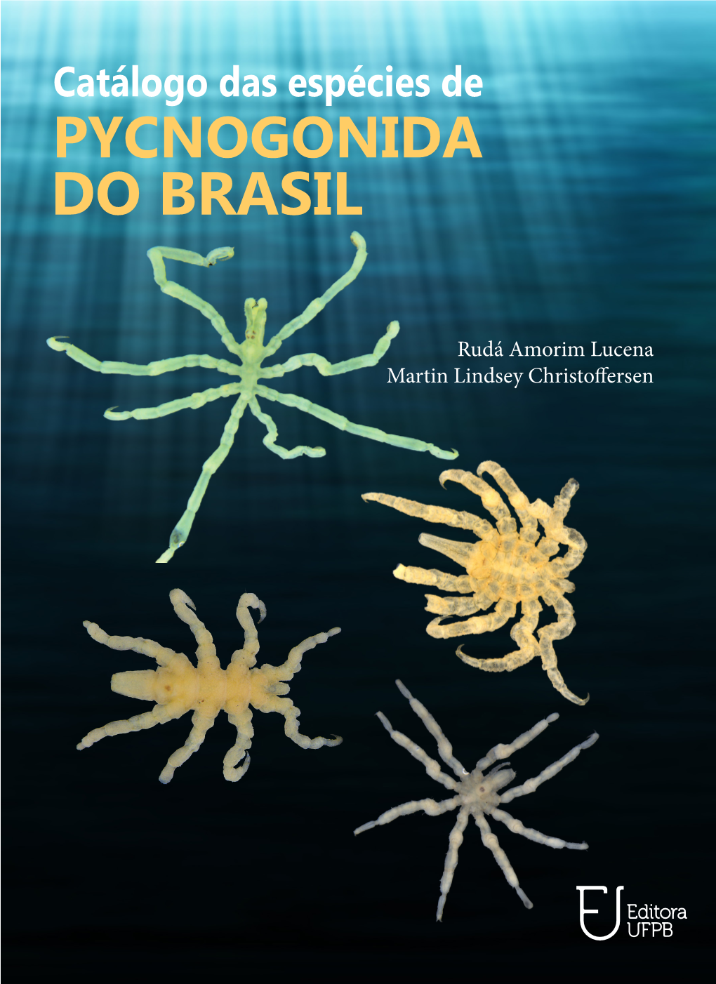 Rudá Amorim Lucena Martin Lindsey Christoffersen Catálogo Das Espécies De Pycnogonida Do Brasil UNIVERSIDADE FEDERAL DA PARAÍBA