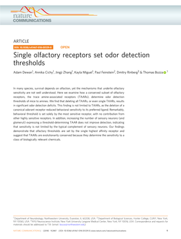 Single Olfactory Receptors Set Odor Detection Thresholds