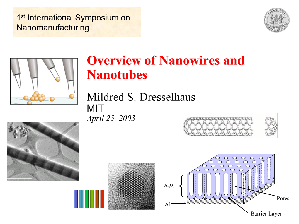 Nanowires and Nanotubes Mildred S