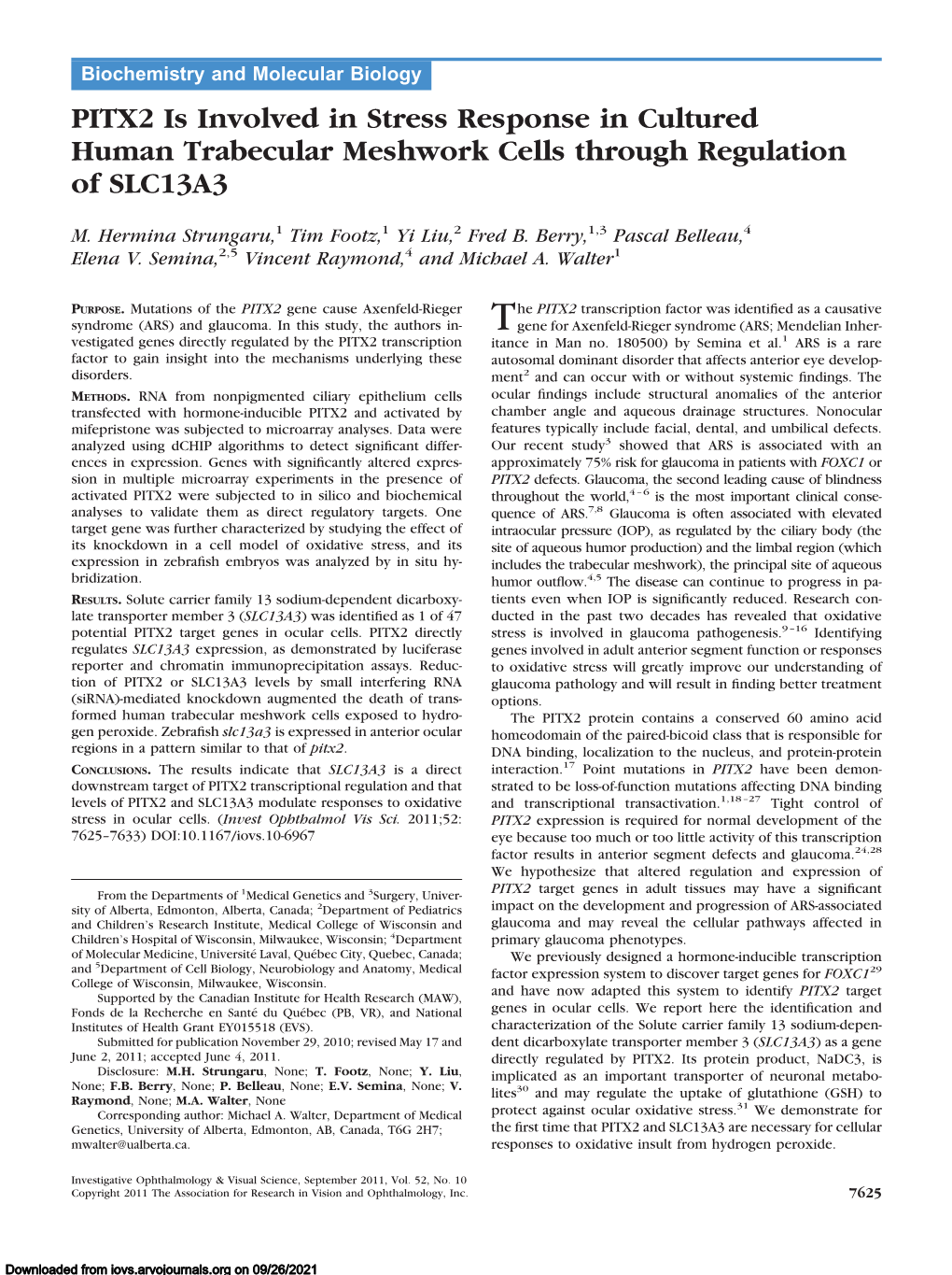 PITX2 Is Involved in Stress Response in Cultured Human Trabecular Meshwork Cells Through Regulation of SLC13A3