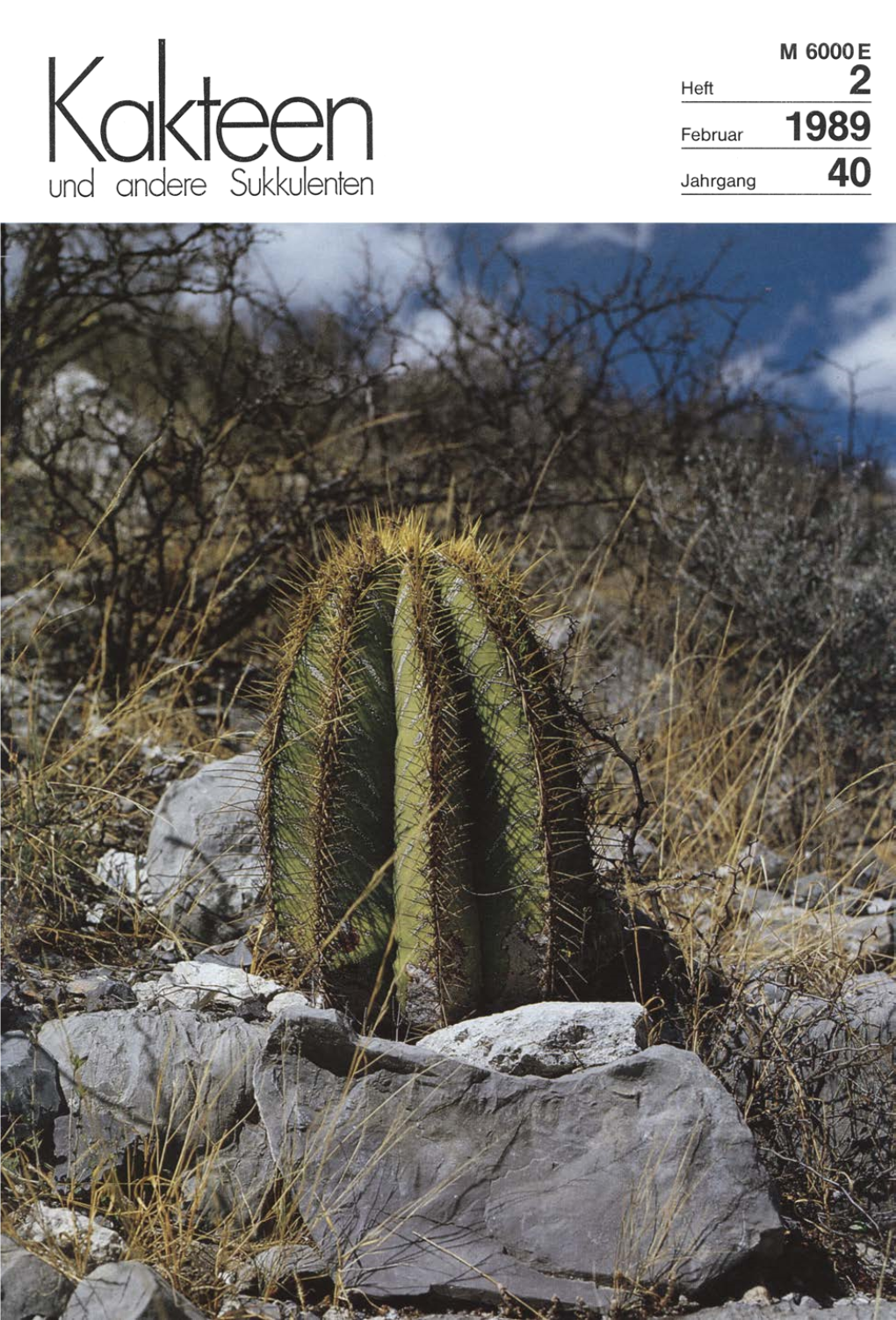 Echinocereus Scheeri Var