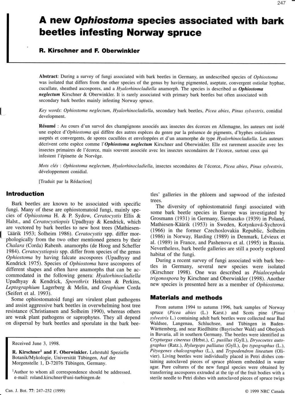 A New Ophiostorna Species Associated with Bark Beetles Infesting Norway Spruce