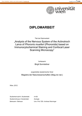 Phoronis Muelleri (Phoronida) Based on Immunocytochemical Staining and Confocal Laser Scanning Microscopy“
